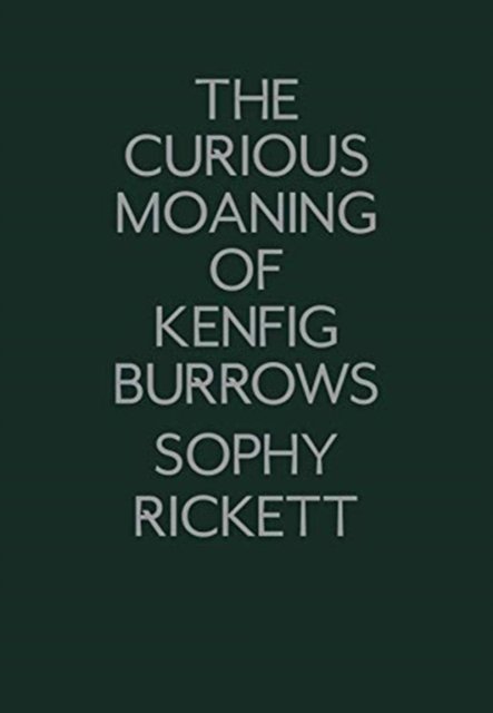 The Curious Moaning of Kenfig Burrows