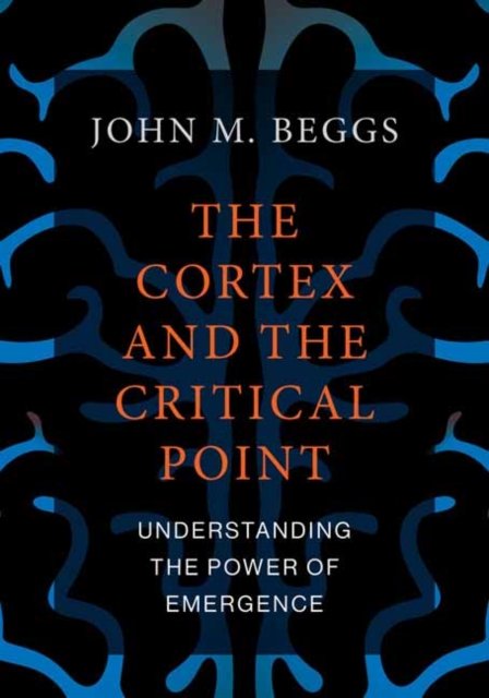 The Cortex and the Critical Point