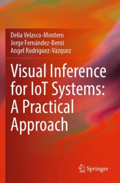 Visual Inference for IoT Systems