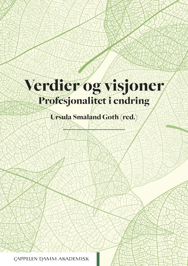 Verdier og visjoner - profesjonalitet i endring
