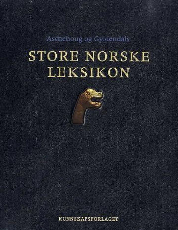 Aschehoug og Gyldendals store norske leksikon. Bd. 15