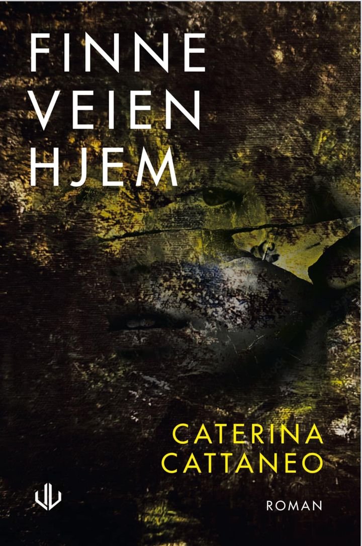 Finne veien hjem - roman