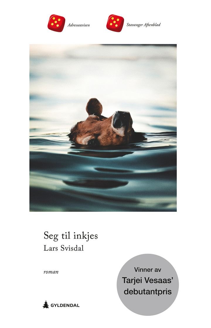 Seg til inkjes - roman