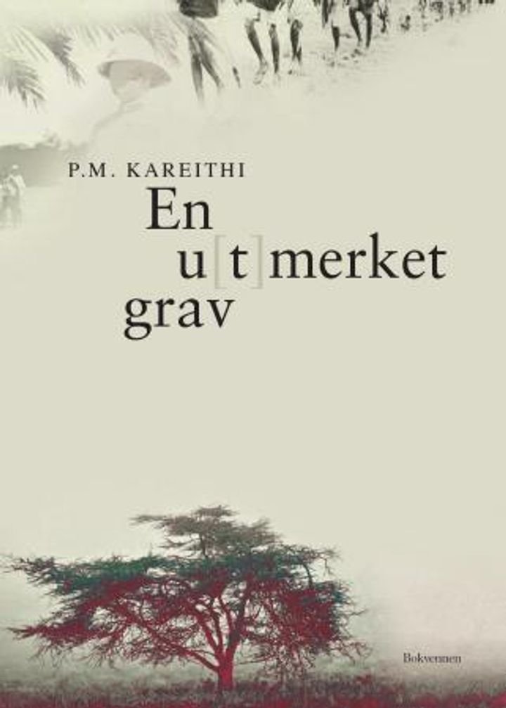En u(t)merket grav - afrikanere i europeisk skole : roman