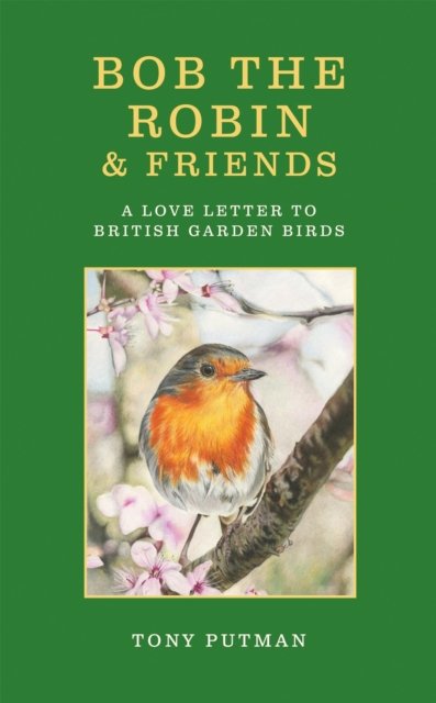 Bob the Robin & Friends