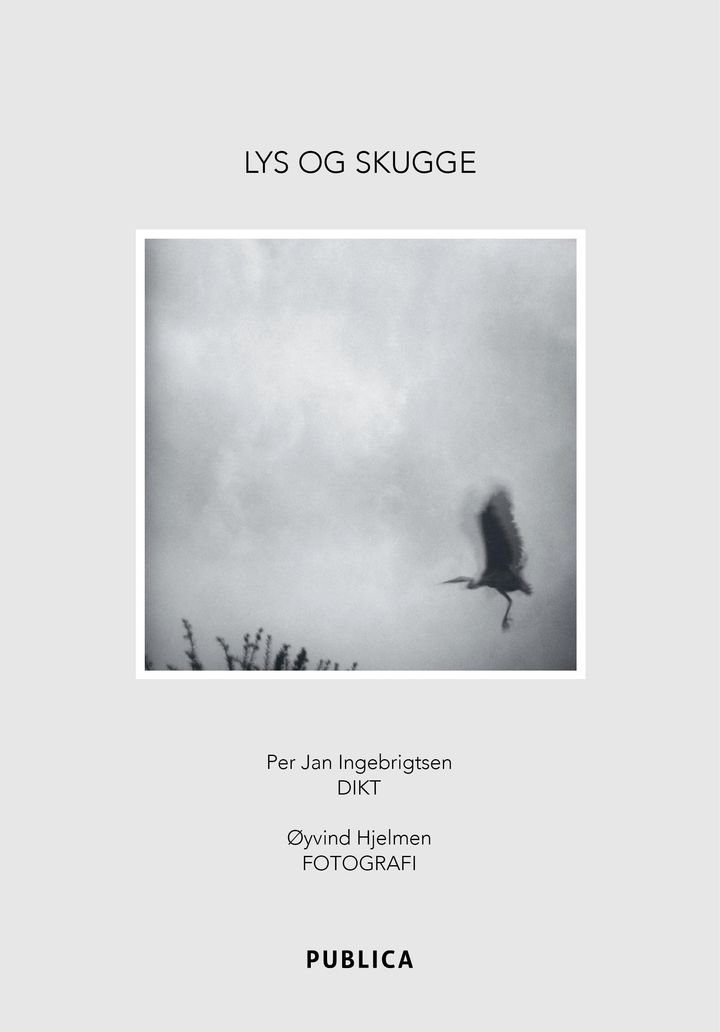 Lys og skugge