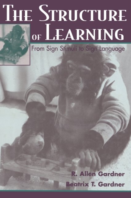 The Structure of Learning