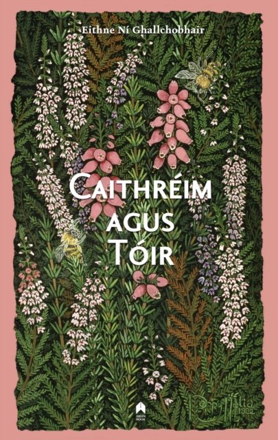 Caithreim Agus Toir