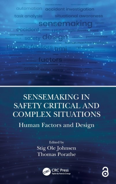 Sensemaking in Safety Critical and Complex Situations