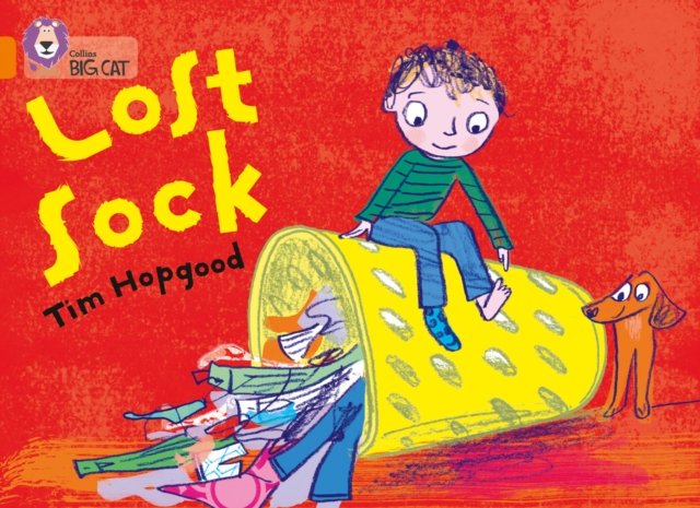 BIG CAT - LOST SOCK
