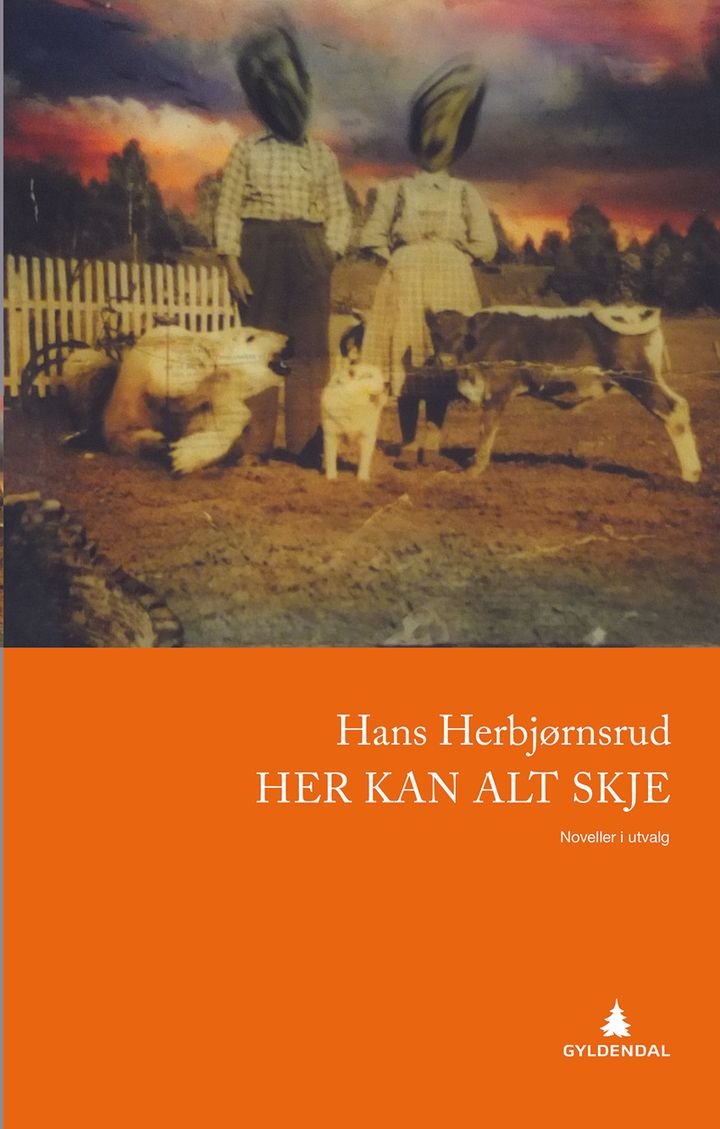 Her kan alt skje - noveller i utvalg