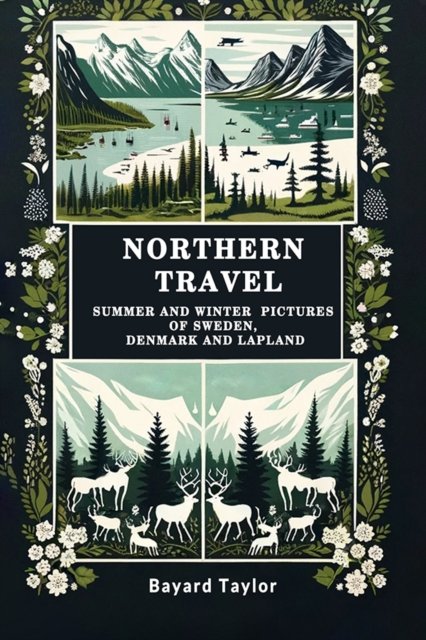 Northern TravelSummer and Winter Pictures of Sweden, Denmark and Lapland (Edition2024)