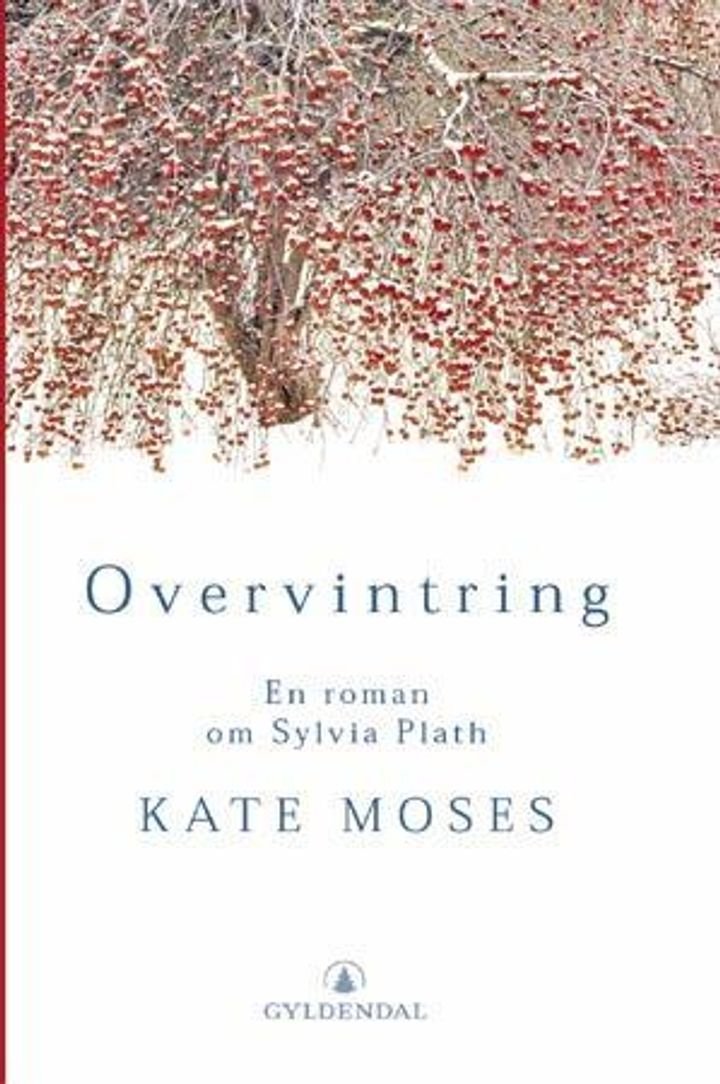 Overvintring - en roman om Sylvia Plath