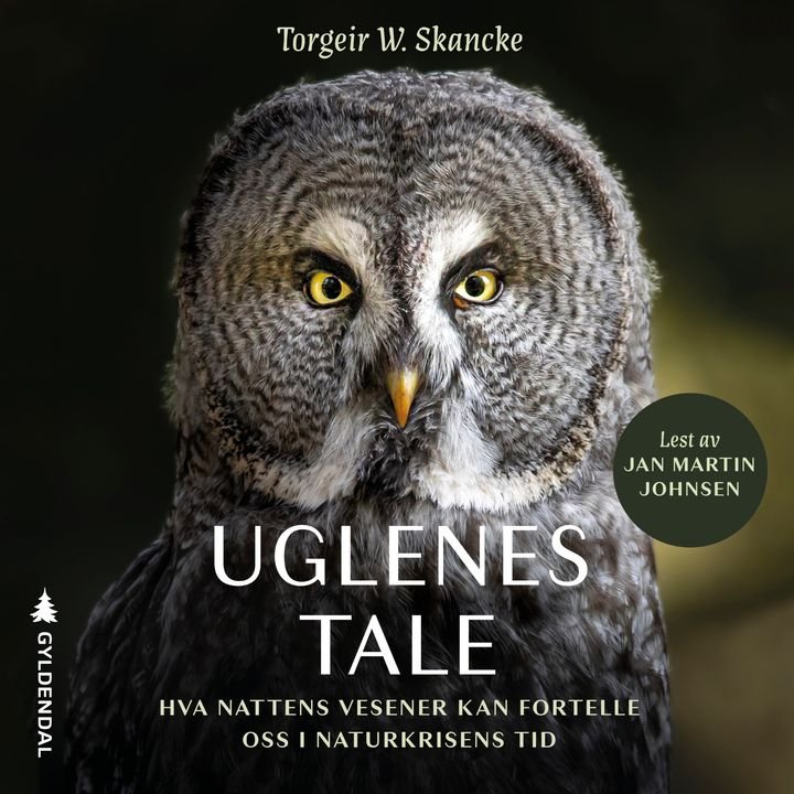 Uglenes tale - hva nattens vesener kan fortelle oss i naturkrisens tid