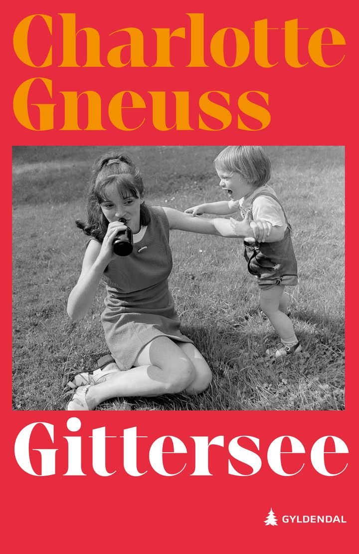 Gittersee - roman