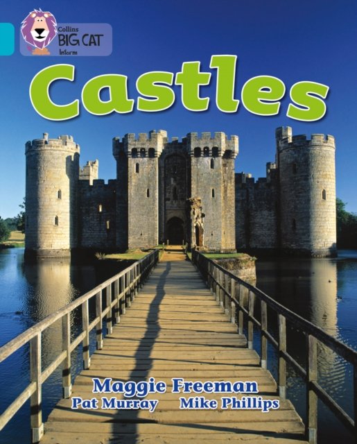 BIG CAT - CASTLES
