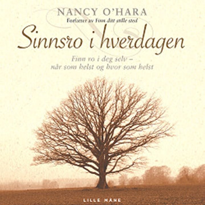 Sinnsro i hverdagen - finn ro i deg selv - når som helst og hvor som helst