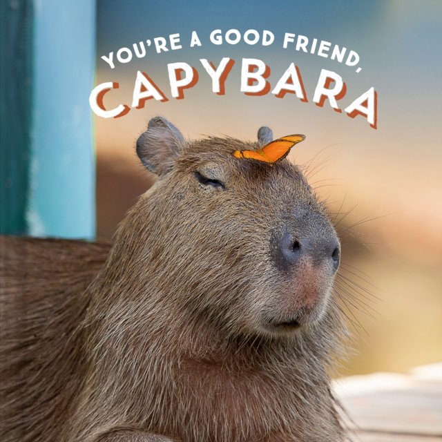 You''re a Good Friend, Capybara