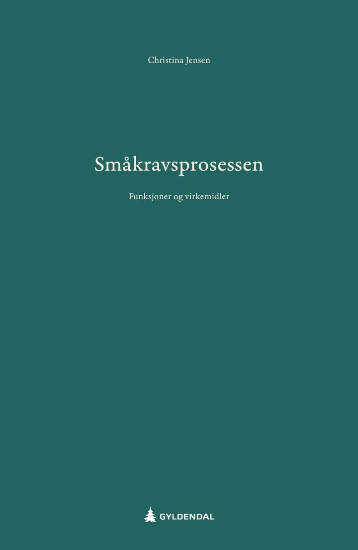 Småkravsprosessen - funksjoner og virkemidler