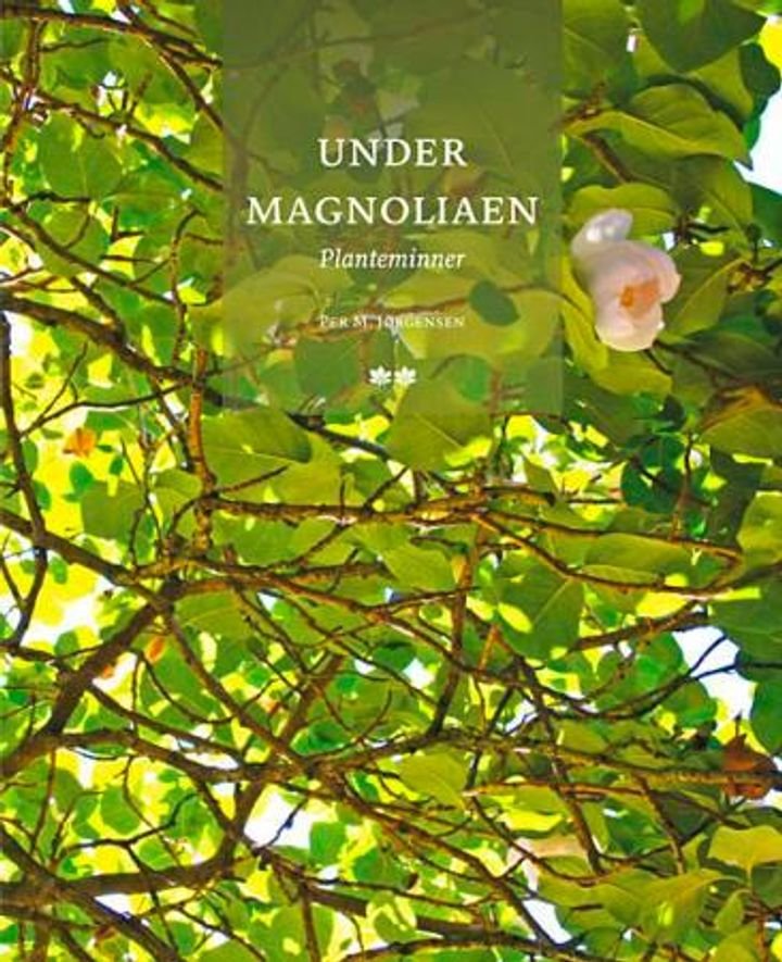 Under magnoliaen - planteminner
