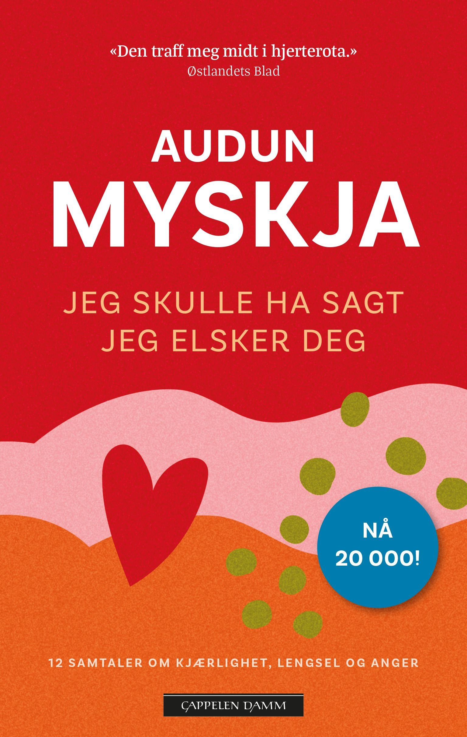 Jeg skulle ha sagt jeg elsker deg - 12 samtaler om kjærlighet, lengsel og anger ved livets slutt