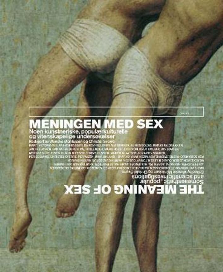 Meningen med sex = The meaning of sex : a selection of artistic, popular and scholarly explorations