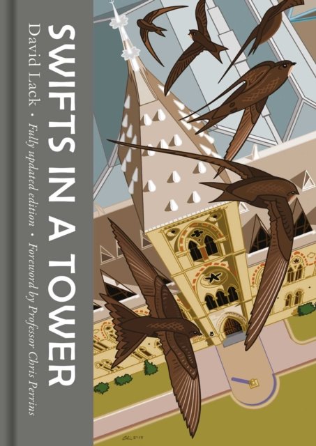 Swifts in a Tower