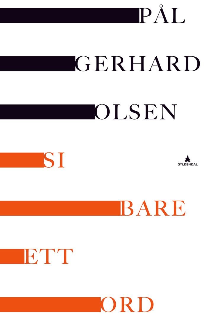Si bare ett ord - roman
