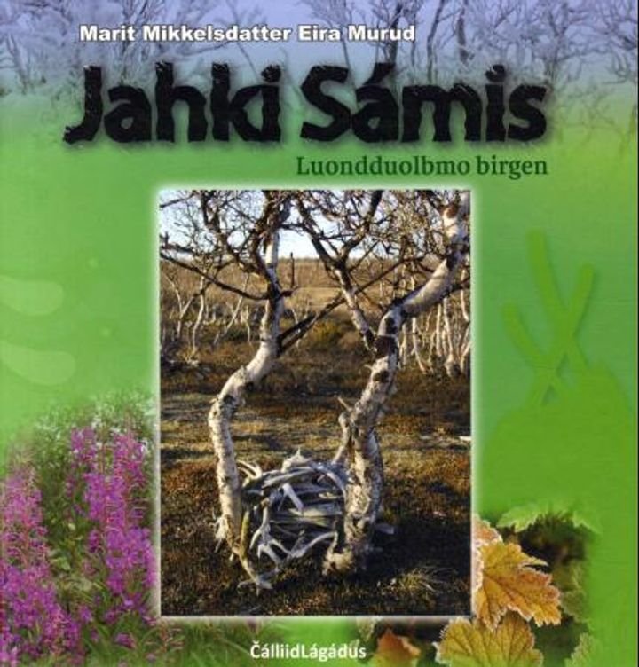 Jahki sámis