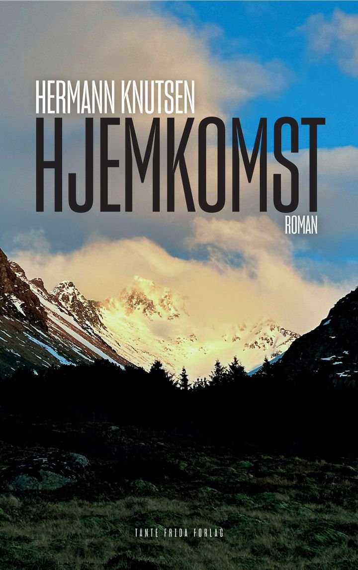 Hjemkomst - roman