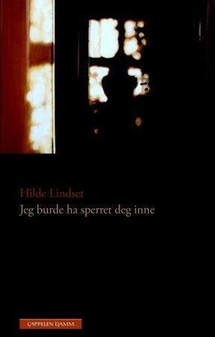 Jeg burde ha sperret deg inne - noveller