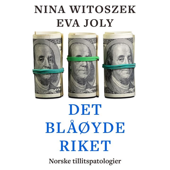 Det blåøyde riket - norske tillitspatologier