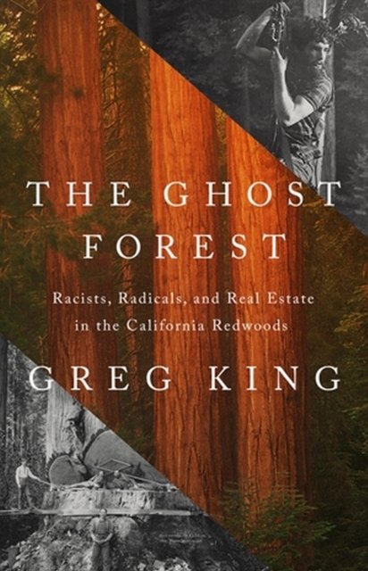 The Ghost Forest