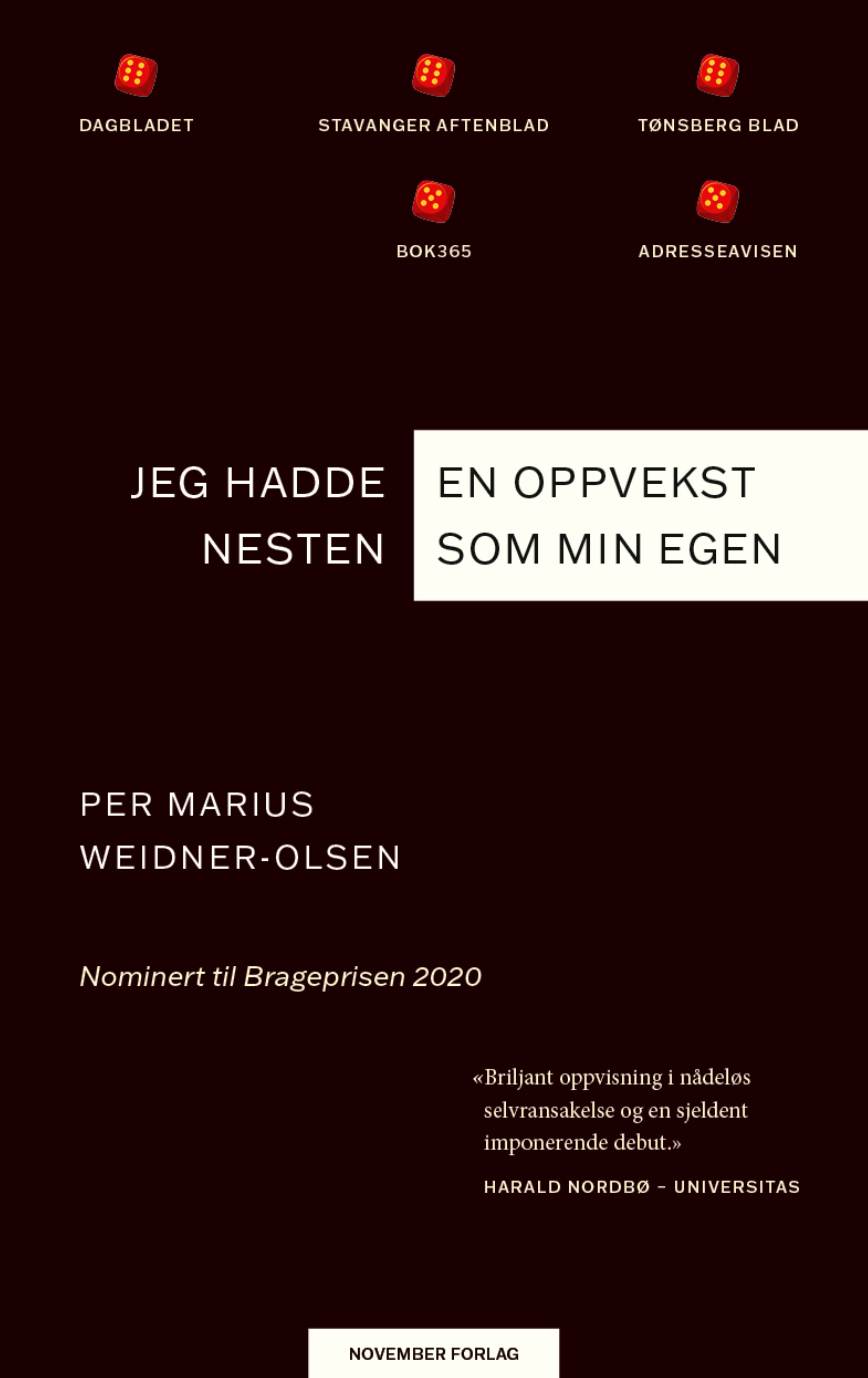 Jeg hadde en oppvekst nesten som min egen - roman