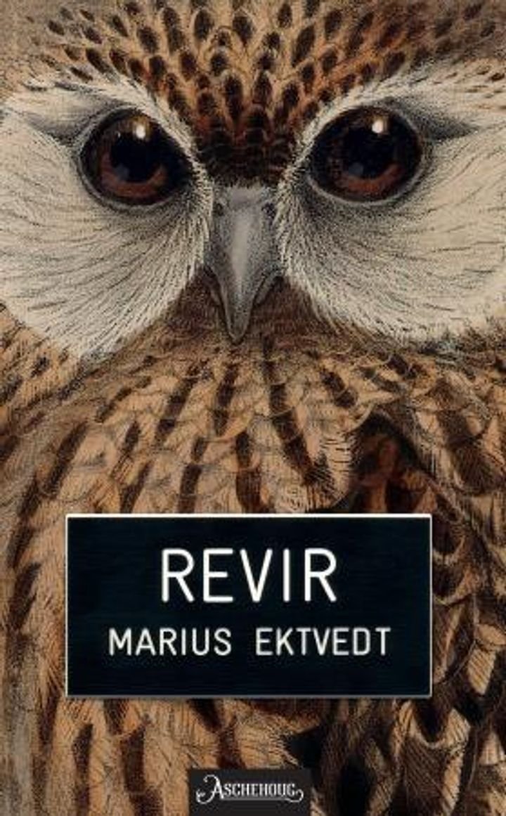 Revir