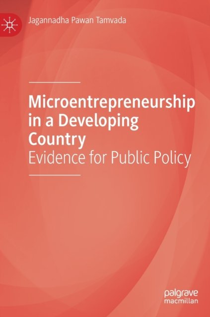 Microentrepreneurship in a Developing Country