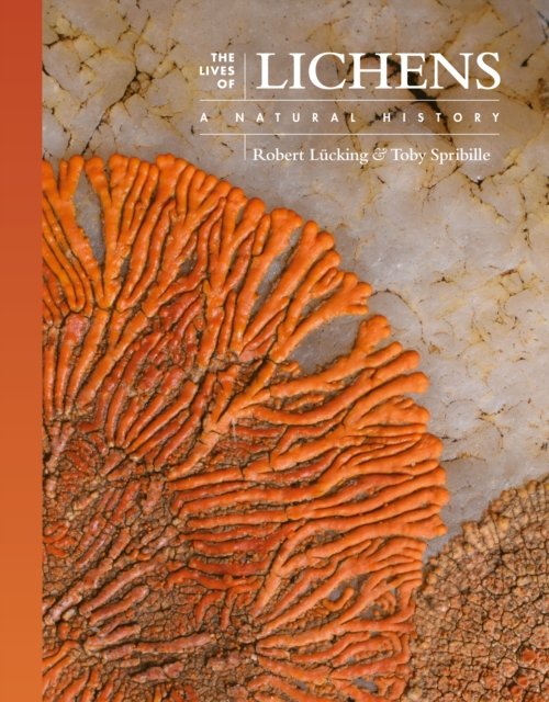 The Lives of Lichens – A Natural History