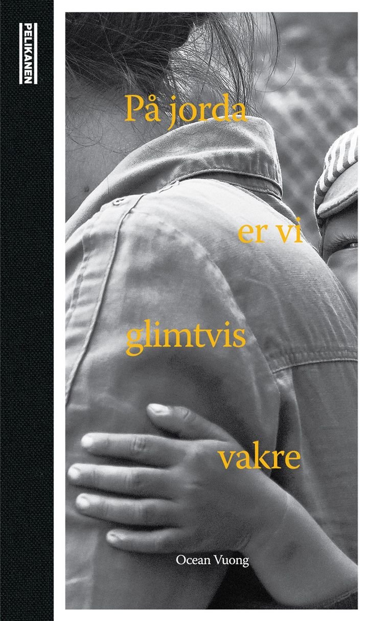 På jorda er vi glimtvis vakre - roman
