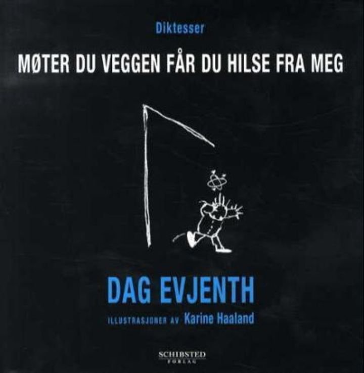 Møter du veggen får du hilse fra meg - diktesser