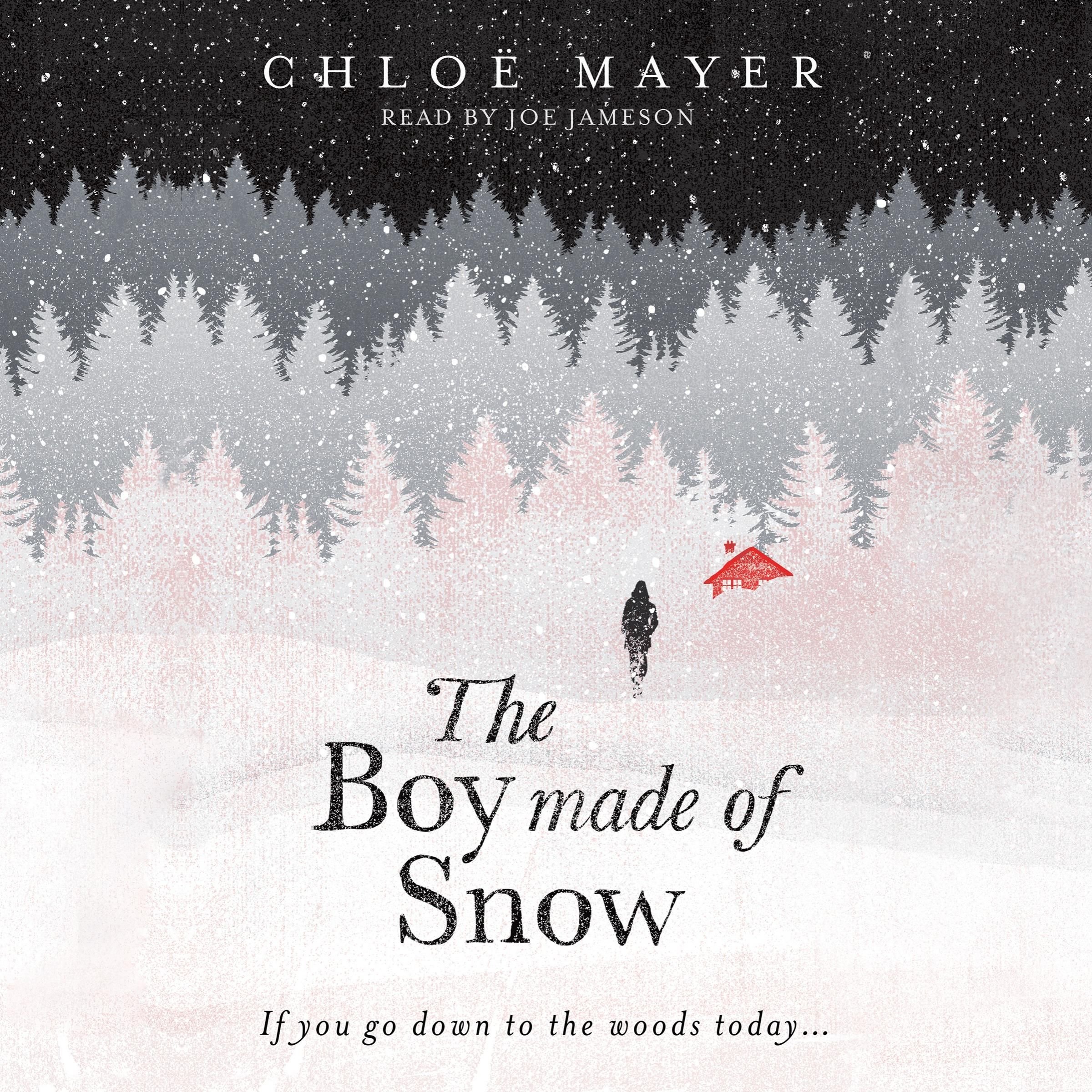 The Boy Made of Snow