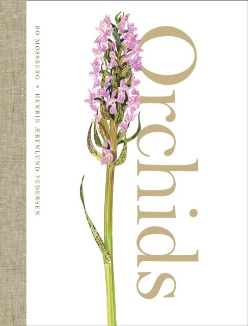 ORCHIDS HB