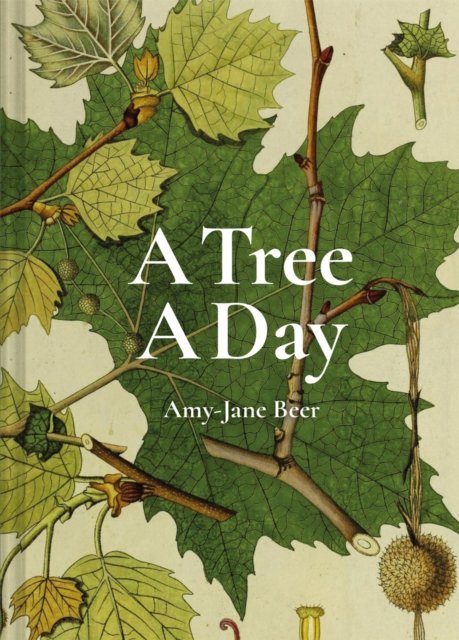 Tree A Day