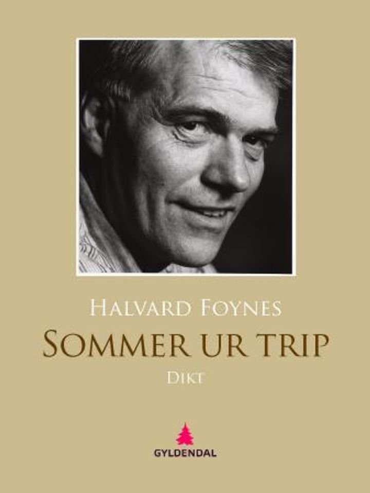 Sommer ur trip - dikt