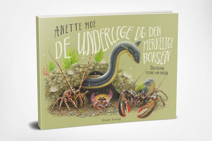 De underlige og den merkelige boksen