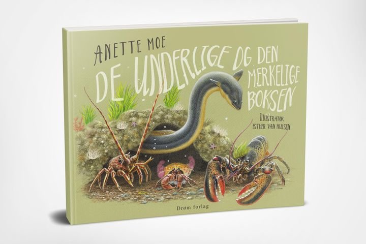 De underlige og den merkelige boksen