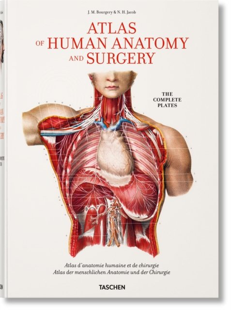 Bourgery