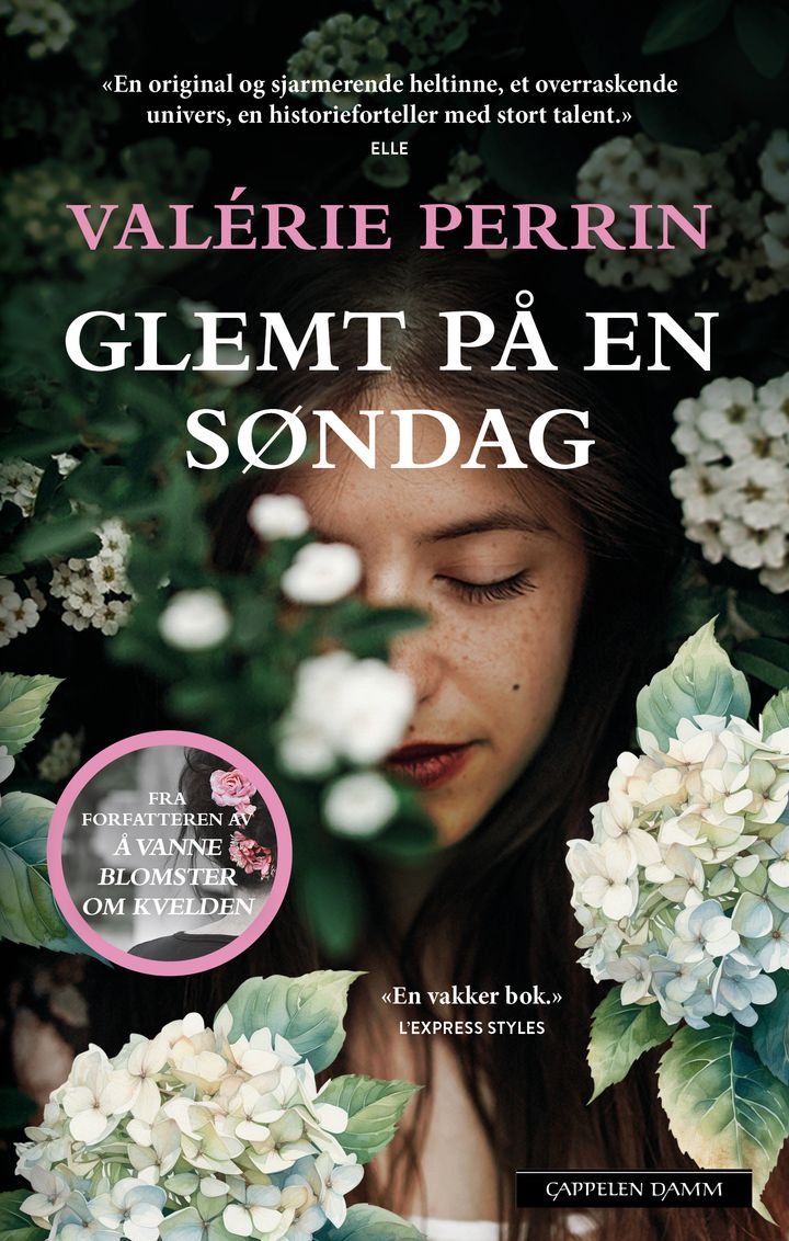 Glemt på en søndag av Valérie Perrin