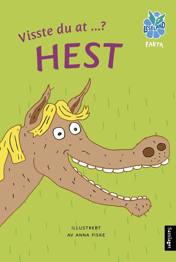 Hest