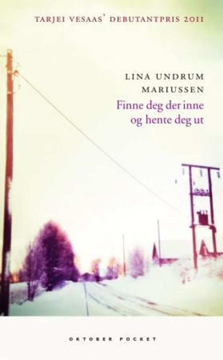 Finne deg der inne og hente deg ut - dikt