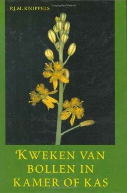 Kweken van bollen in kamer en kas